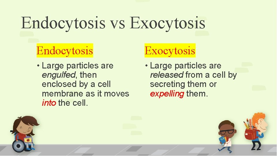 Endocytosis vs Exocytosis Endocytosis Exocytosis • Large particles are engulfed, then enclosed by a