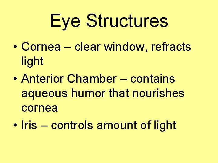 Eye Structures • Cornea – clear window, refracts light • Anterior Chamber – contains