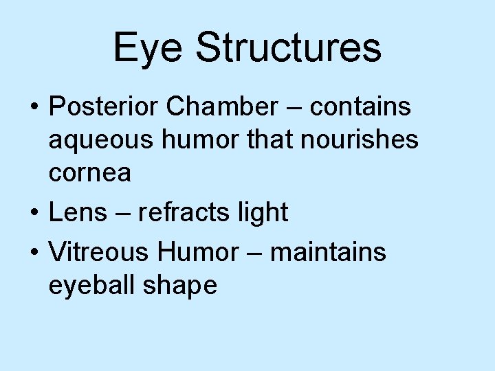 Eye Structures • Posterior Chamber – contains aqueous humor that nourishes cornea • Lens