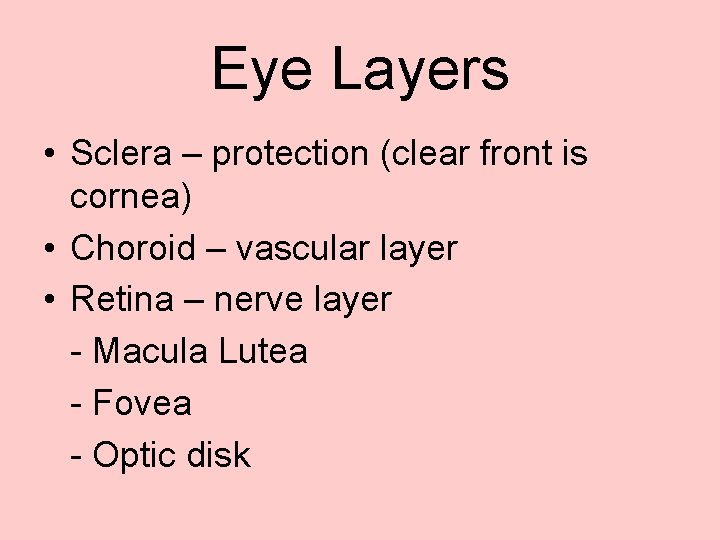 Eye Layers • Sclera – protection (clear front is cornea) • Choroid – vascular