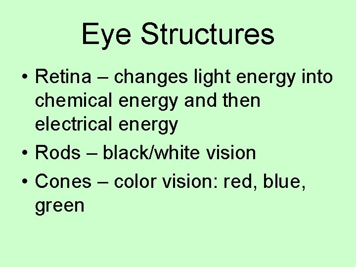 Eye Structures • Retina – changes light energy into chemical energy and then electrical