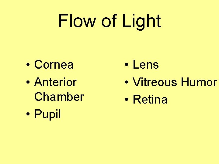 Flow of Light • Cornea • Anterior Chamber • Pupil • Lens • Vitreous