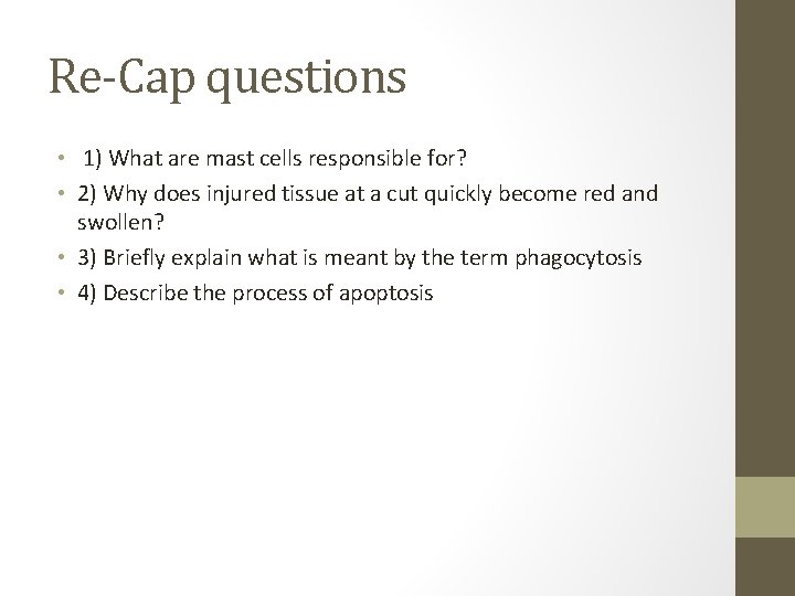 Re-Cap questions • 1) What are mast cells responsible for? • 2) Why does