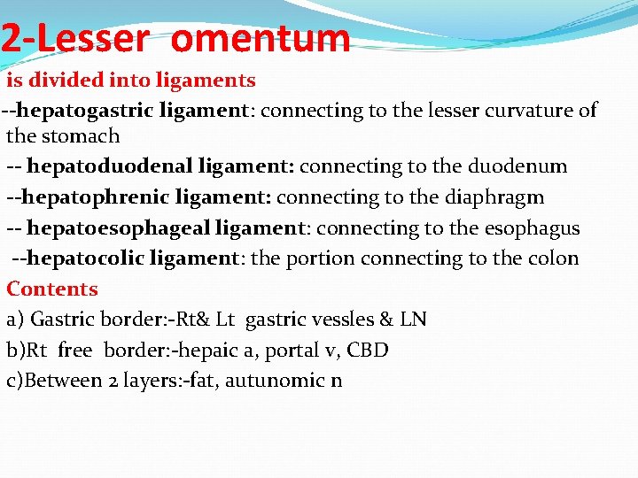 2 -Lesser omentum is divided into ligaments --hepatogastric ligament: connecting to the lesser curvature