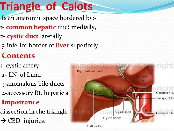 Triangle of Calots Is an anatomic space bordered by: 1 - common hepatic duct