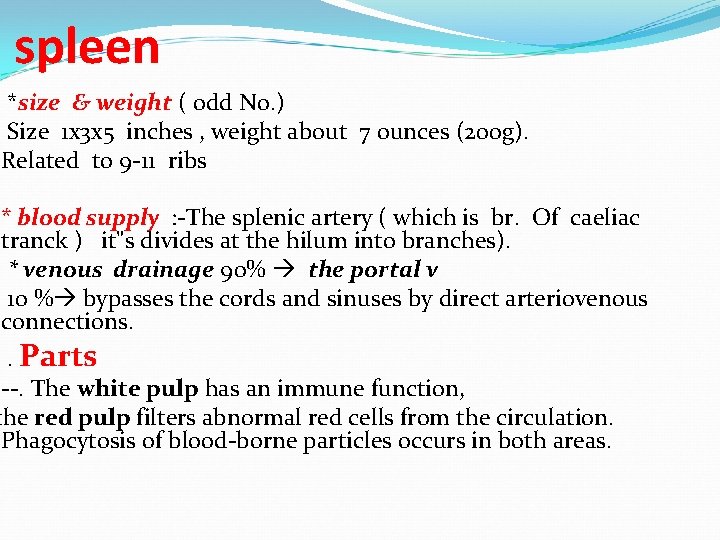 spleen *size & weight ( odd No. ) Size 1 x 3 x 5
