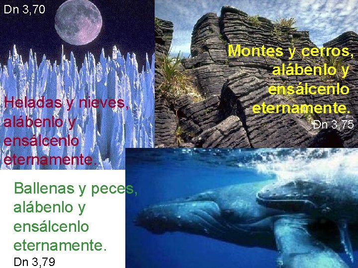 Dn 3, 70 Heladas y nieves, alábenlo y ensálcenlo eternamente. Ballenas y peces, alábenlo