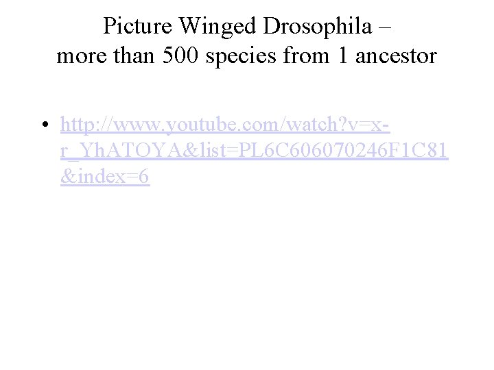 Picture Winged Drosophila – more than 500 species from 1 ancestor • http: //www.