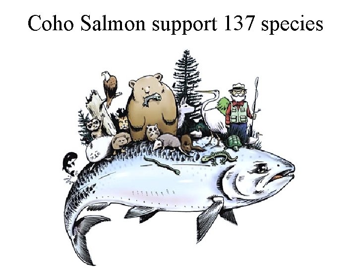 Coho Salmon support 137 species 