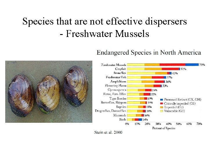 Species that are not effective dispersers - Freshwater Mussels 