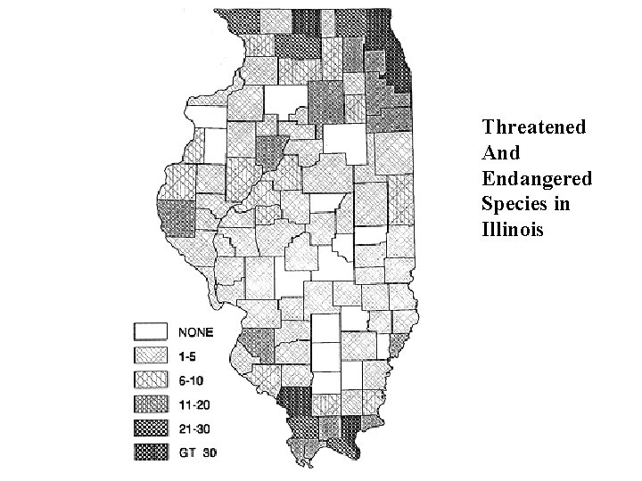 Threatened And Endangered Species in Illinois 