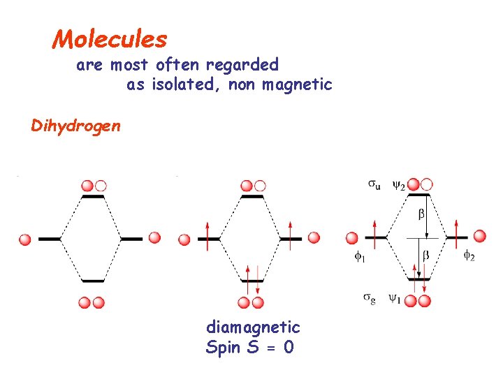 Molecules are most often regarded as isolated, non magnetic Dihydrogen diamagnetic Spin S =