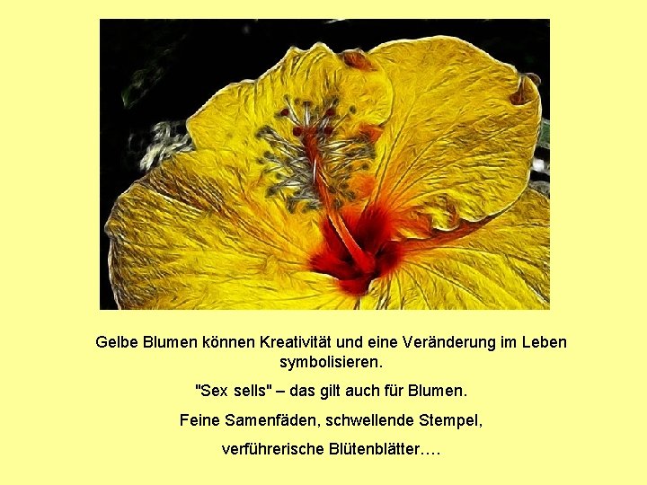 Gelbe Blumen können Kreativität und eine Veränderung im Leben symbolisieren. "Sex sells" – das