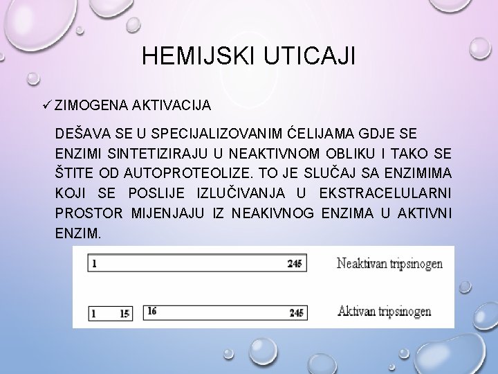 HEMIJSKI UTICAJI ü ZIMOGENA AKTIVACIJA DEŠAVA SE U SPECIJALIZOVANIM ĆELIJAMA GDJE SE ENZIMI SINTETIZIRAJU