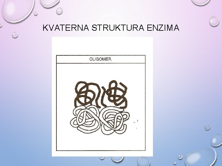 KVATERNA STRUKTURA ENZIMA 