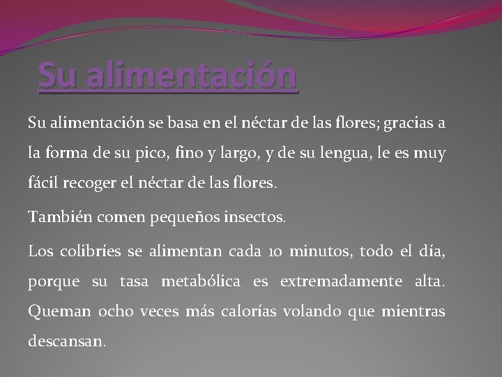 Su alimentación se basa en el néctar de las flores; gracias a la forma