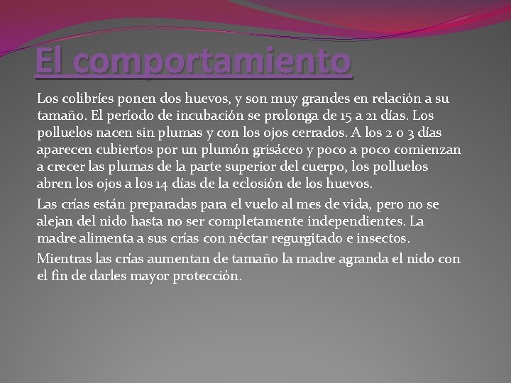 El comportamiento Los colibríes ponen dos huevos, y son muy grandes en relación a