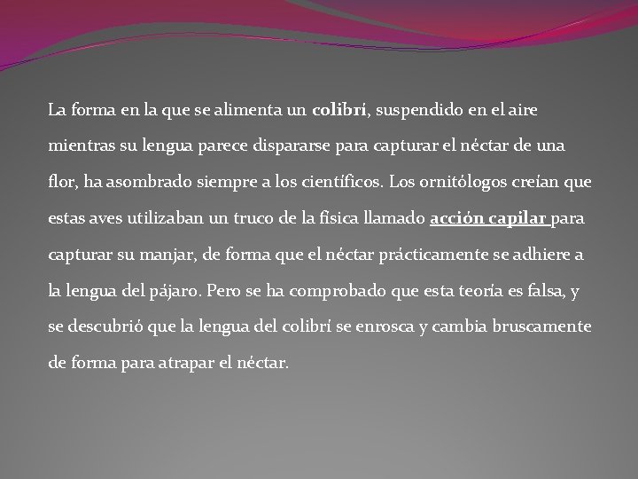 La forma en la que se alimenta un colibrí, suspendido en el aire mientras