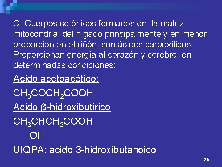 C- Cuerpos cetónicos formados en la matriz mitocondrial del hígado principalmente y en menor