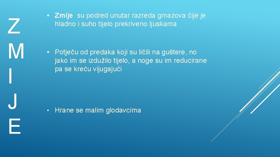 Z M I J E • Zmije su podred unutar razreda gmazova čije je