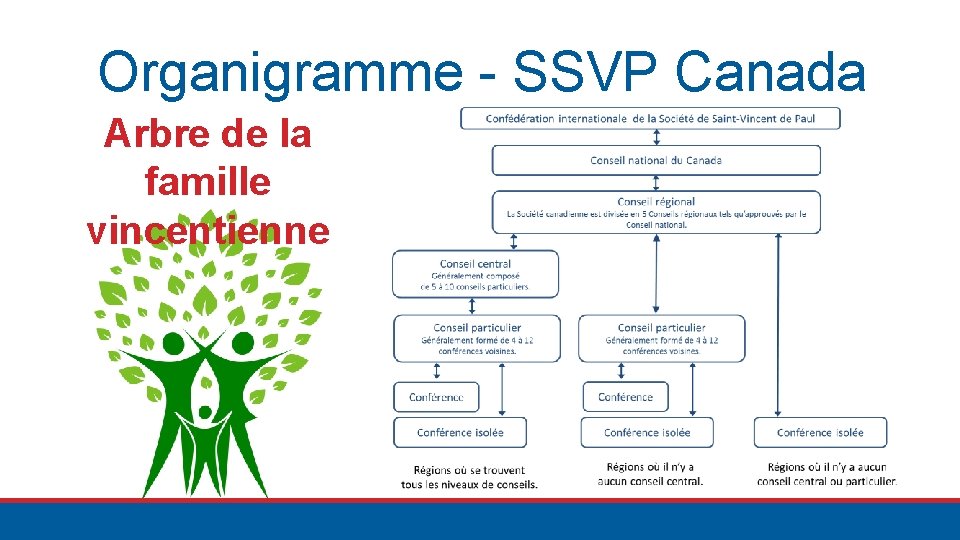 Organigramme - SSVP Canada Arbre de la famille vincentienne 