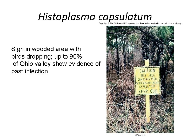 Histoplasma capsulatum Sign in wooded area with birds dropping; up to 90% of Ohio