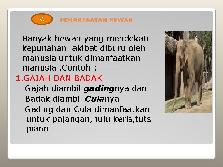 C PEMANFAATAN HEWAN Banyak hewan yang mendekati kepunahan akibat diburu oleh manusia untuk dimanfaatkan