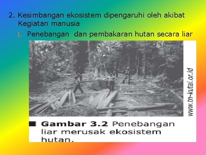 2. Kesimbangan ekosistem dipengaruhi oleh akibat Kegiatan manusia 1. Penebangan dan pembakaran hutan secara