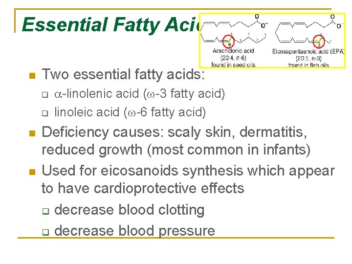 Essential Fatty Acids n Two essential fatty acids: q q n n a-linolenic acid