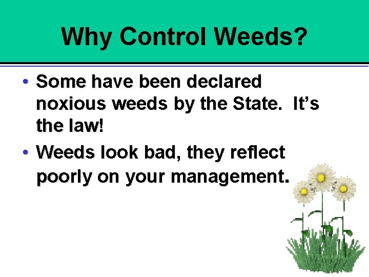 Why Control Weeds? • Some have been declared noxious weeds by the State. It’s