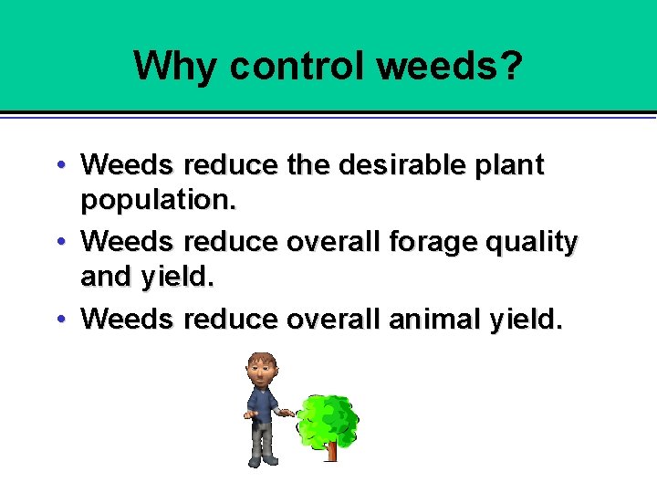 Why control weeds? • Weeds reduce the desirable plant population. • Weeds reduce overall