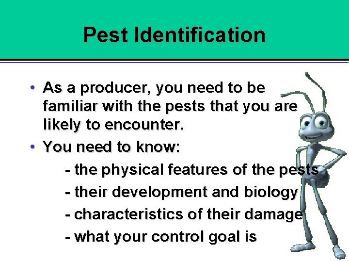 Pest Identification • As a producer, you need to be familiar with the pests