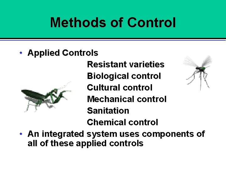 Methods of Control • Applied Controls Resistant varieties Biological control Cultural control Mechanical control