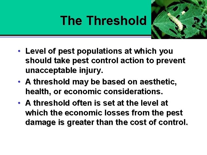 The Threshold • Level of pest populations at which you should take pest control
