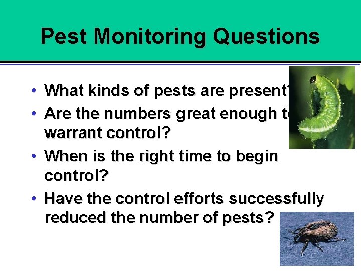 Pest Monitoring Questions • What kinds of pests are present? • Are the numbers