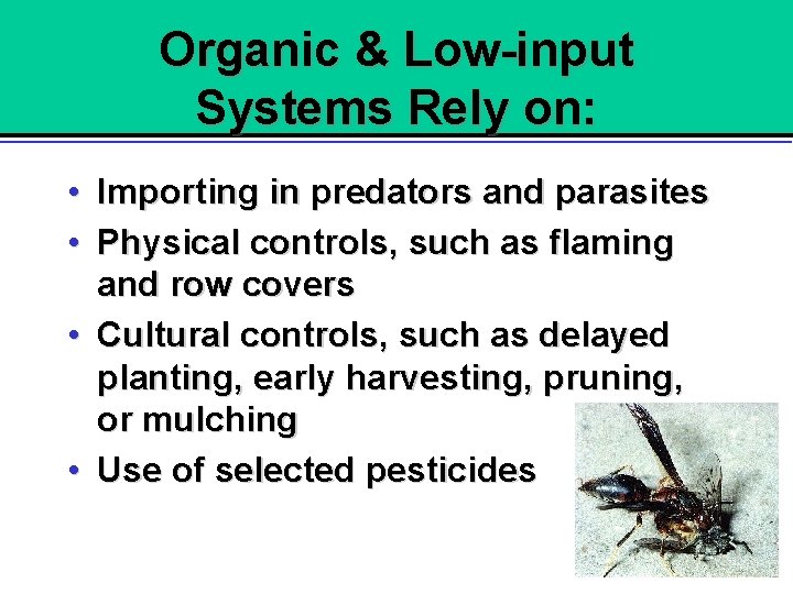 Organic & Low-input Systems Rely on: • Importing in predators and parasites • Physical