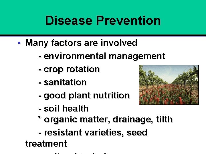 Disease Prevention • Many factors are involved - environmental management - crop rotation -