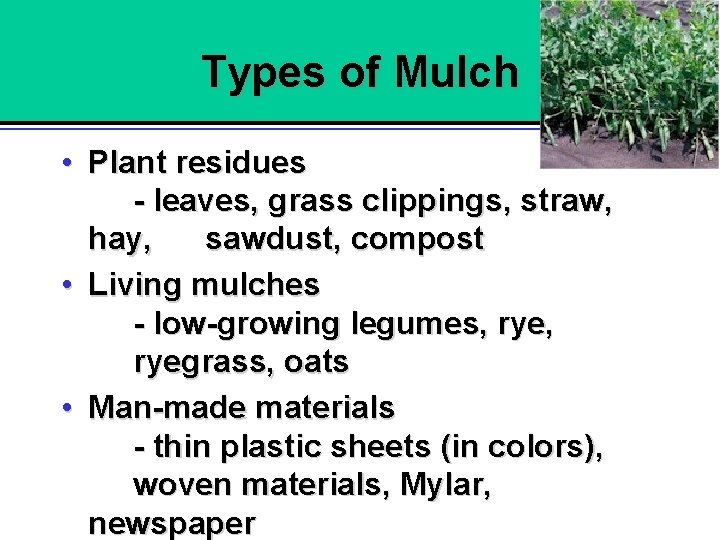 Types of Mulch • Plant residues - leaves, grass clippings, straw, hay, sawdust, compost