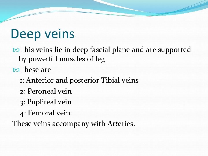 Deep veins This veins lie in deep fascial plane and are supported by powerful