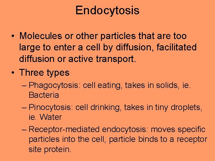 Endocytosis • Molecules or other particles that are too large to enter a cell