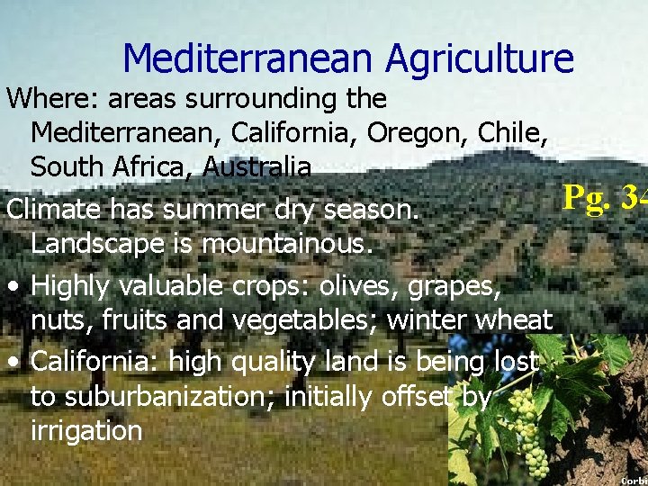 Mediterranean Agriculture Where: areas surrounding the Mediterranean, California, Oregon, Chile, South Africa, Australia Climate