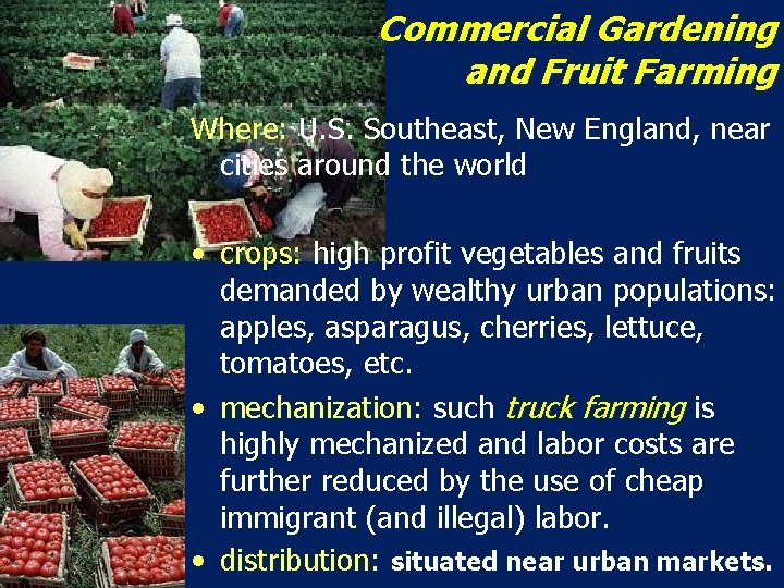 Commercial Gardening and Fruit Farming Where: U. S. Southeast, New England, near cities around