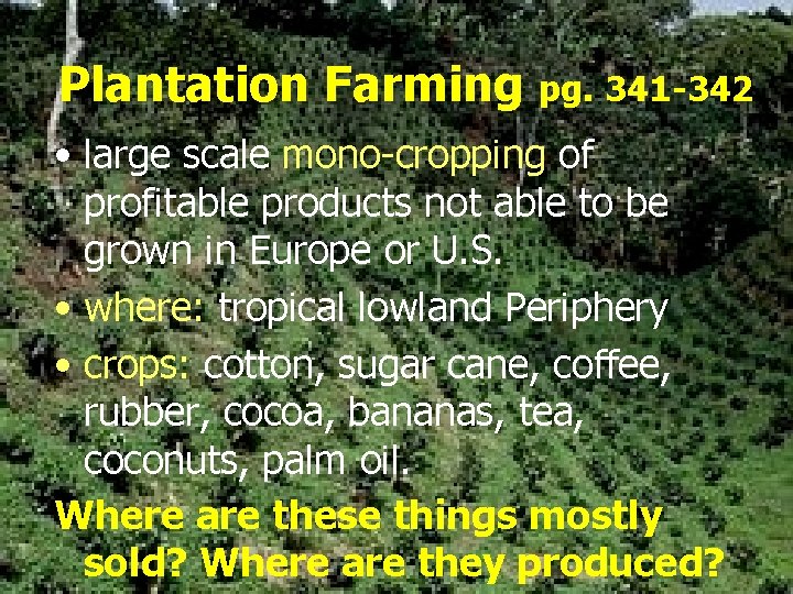 Plantation Farming pg. 341 -342 • large scale mono-cropping of profitable products not able
