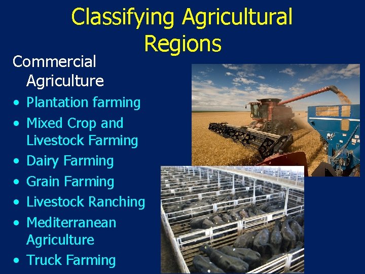 Classifying Agricultural Regions Commercial Agriculture • Plantation farming • Mixed Crop and Livestock Farming