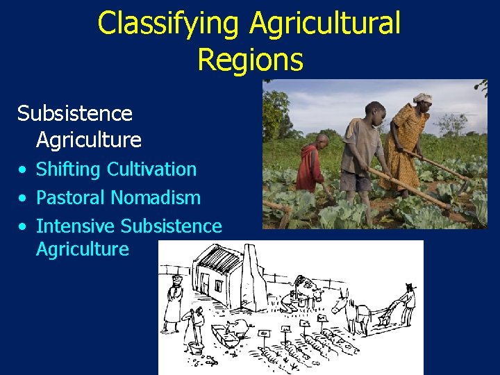 Classifying Agricultural Regions Subsistence Agriculture • Shifting Cultivation • Pastoral Nomadism • Intensive Subsistence