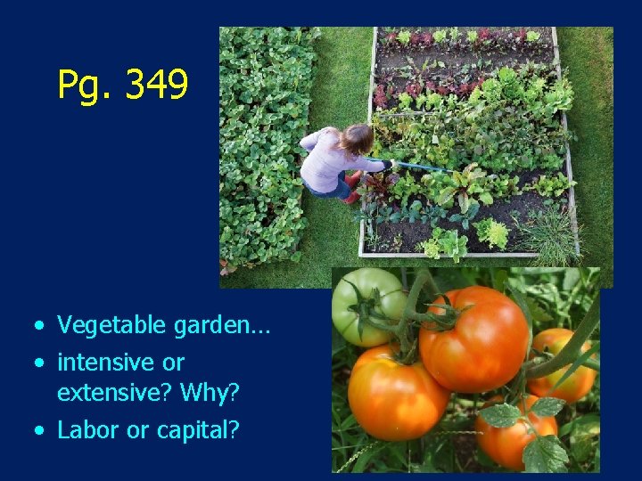 Pg. 349 • Vegetable garden… • intensive or extensive? Why? • Labor or capital?