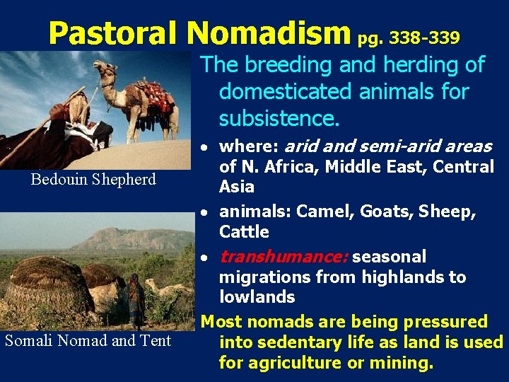 Pastoral Nomadism pg. 338 -339 The breeding and herding of domesticated animals for subsistence.