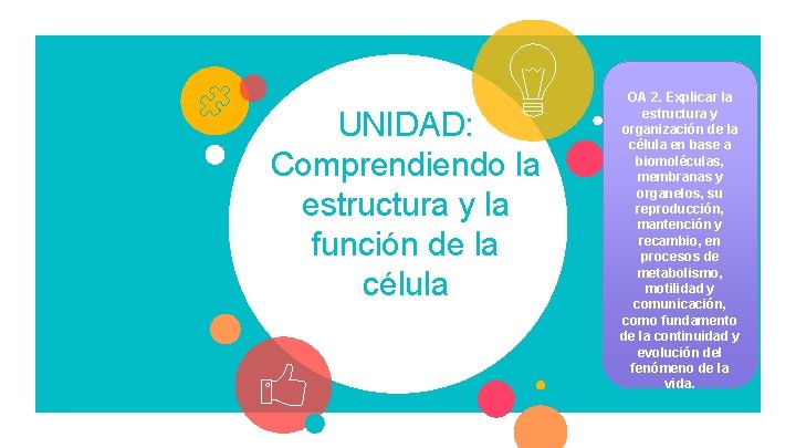 UNIDAD: Comprendiendo la estructura y la función de la célula OA 2. Explicar la