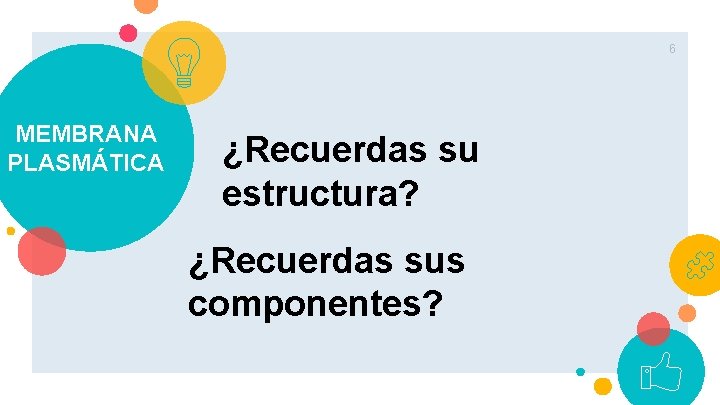 6 MEMBRANA PLASMÁTICA ¿Recuerdas su estructura? ¿Recuerdas sus componentes? 