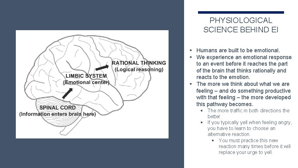 PHYSIOLOGICAL SCIENCE BEHIND EI § Humans are built to be emotional. § We experience